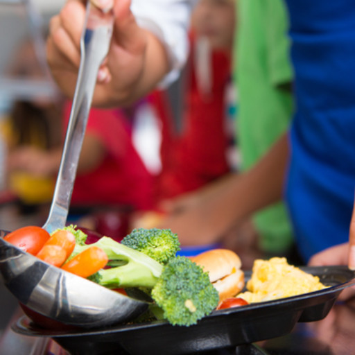 Imagem ilustrativa do curso de Alimentação escolar